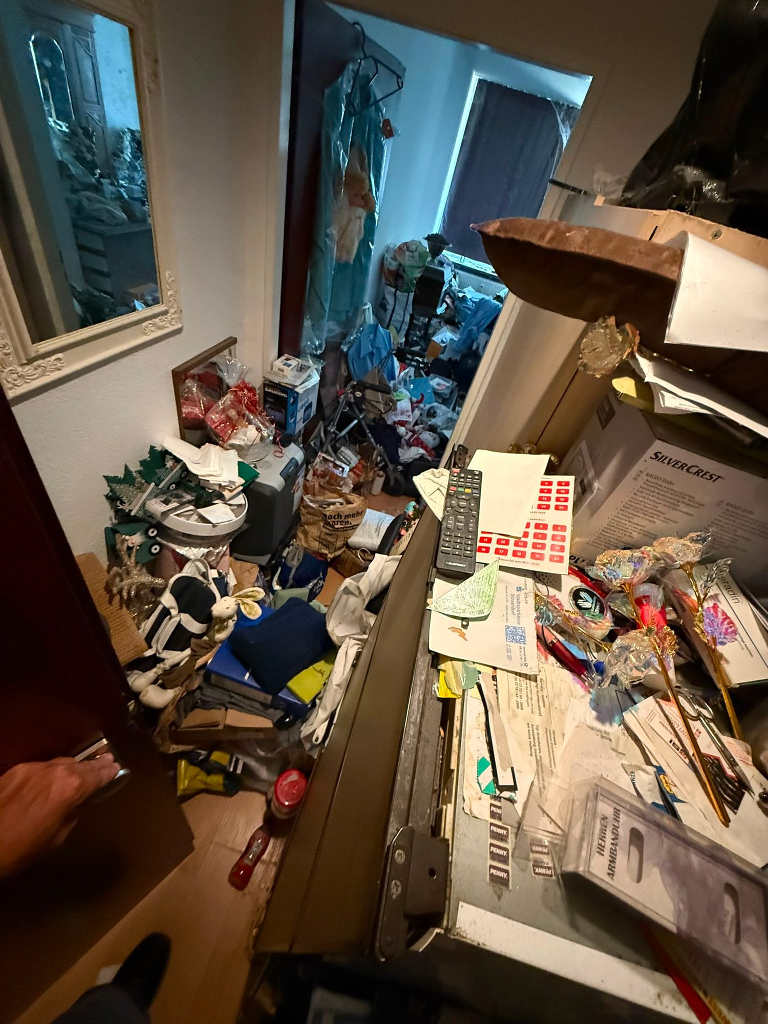 Messie-Wohnung in Düsseldorf vor der Entrümpelung (Bild 3)