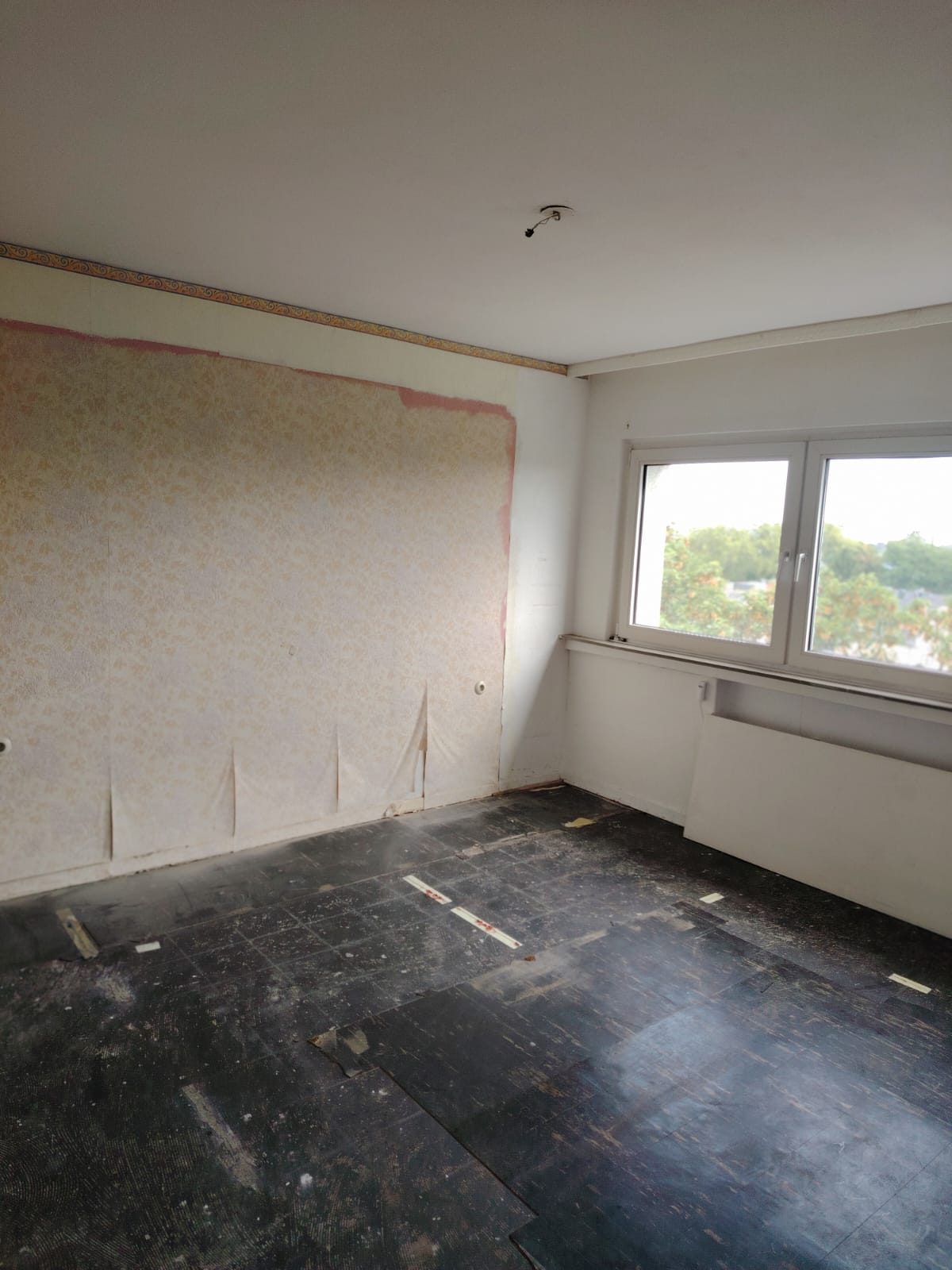 Wohnung in Brühl nach der Entrümpelung, besenrein übergeben (Bild 2)