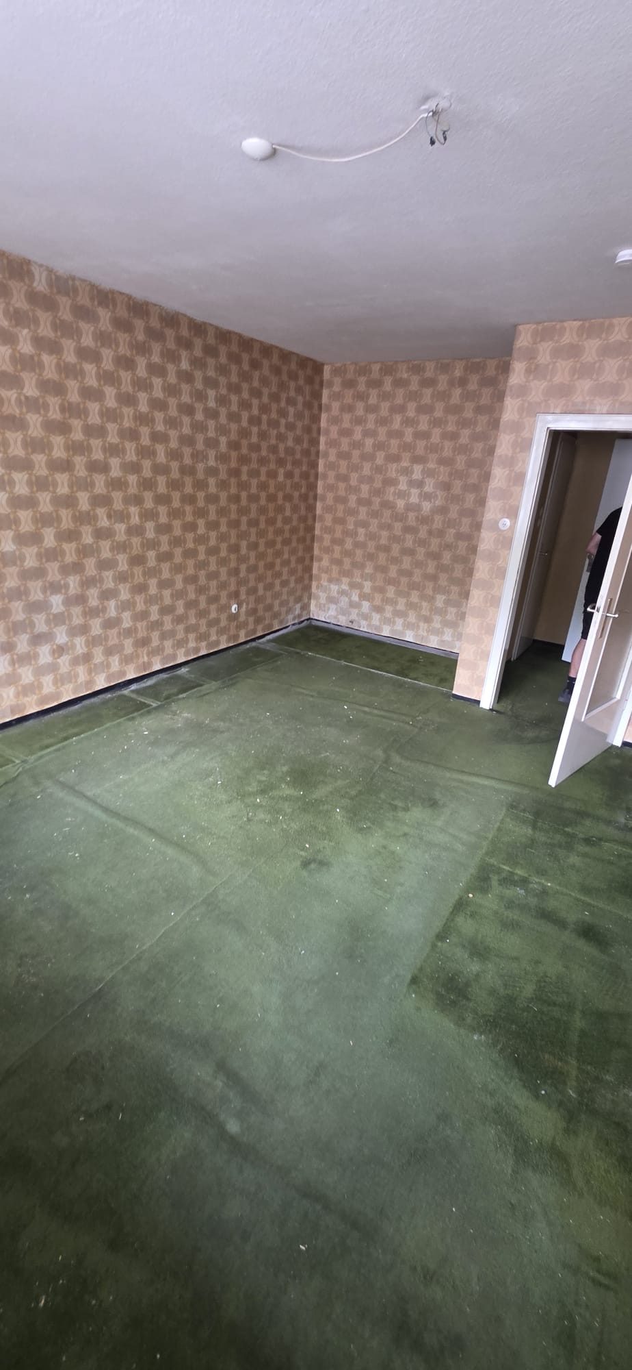 Wohnung in Düsseldorf-Pempelfort nach der Entrümpelung, besenrein übergeben (Bild 1)