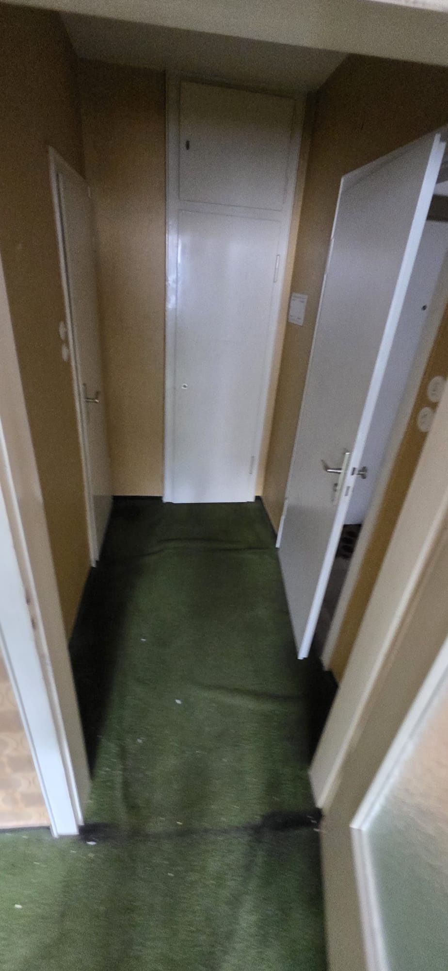Wohnung in Düsseldorf-Pempelfort nach der Entrümpelung, besenrein übergeben (Bild 4)