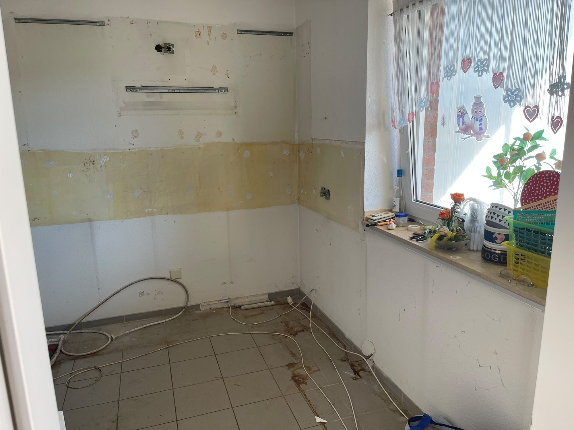 Wohnung in Düsseldorf-Rath vor der Entrümpelung (Bild 3)